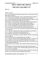 PHÁT TRIỂN HỆ THỐNG THƯƠNG MẠI ĐIỆN TỬ - TMU