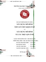 XÂY DỰNG mô HÌNH TIỀN gửi TIẾT KIỆM ở mỹ và xây DỰNG mô HÌNH về cầu THỊT lợn ở mỹ 