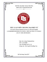 ỨNG DỤNG HOẠCH ĐỊNH NGUỒN lực DOANH NGHIỆP ( ENTERPRISE RESOURCE PLANNING   ERP) tại CÔNG TY cổ PHẦN đầu tư THẾ GIỚI DI ĐỘNG 