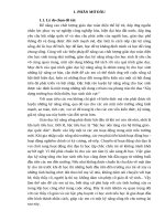 SKKN một số biện pháp giáo dục kỹ năng sống cho học sinh tiểu học góp phần nâng cao chất lượng giáo dục toàn diện 