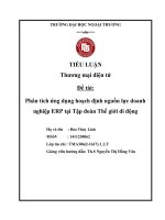 Phân tích ứng dụng hoạch định nguồn lực doanh nghiệp ERP tại tập đoàn thế giới di động 