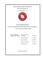 tiểu luận kinh tế lượng những nhân tố ảnh hưởng đến chỉ số HDI của các quốc gia trên thế giới năm 2017 