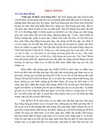 SKKN một số kinh nghiệm chỉ đạo thực hiện công tác kiểm định chất lượng giáo dục trường mầm non 