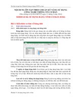 Giáo trình tin học (CB IU04 su dung bang tinh co ban) Thi Giảng viên chính