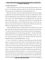 SKKN nâng cao hiệu quả hoạt động của tổ chuyên môn trường tiểu học số 2 phong thủy 