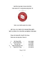 tiểu luận kinh tế lượng các nhân tố ảnh hưởng đến mức lương người lao động năm 2015  