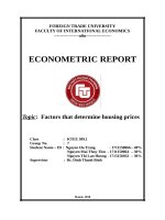 tiểu luận kinh tế lượng factors that determine housing prices 