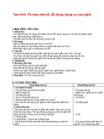 Giáo án phát triển thẩm mĩ, tình cảm 03 tuổi