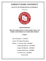tiểu luận kinh tế lượng THE FACTORS EFFECT LIFE EXPECTANCY OF SOME COUNTRIES ALL OVER THE WORLD 