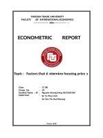 tiểu luận kinh tế lượng factors that determine housing prices 