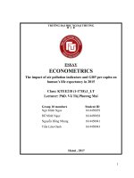 tiểu luận kinh tế lượng the impact of air pollution indicators and GDP per capita on human’s life expectancy in 2015