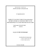 Nghiên cứu tạo chủng vi khuẩn vibrio parahaemolyticus đột biến giảm độc lực nhằm phát triển vắc xin phòng bệnh hoại tử gan thận trên một số loài cá biển 