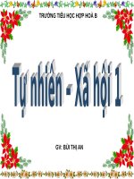 slide bài giảng tự nhiên và xã hội  ăn uống hàng ngày  lớp 1b 