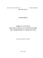 Luận án tiến sĩ y học: Nghiên cứu ứng dụng phẫu thuật nội soi cắt giảm thể tích phổi điều trị bệnh phổi tắc nghẽn mạn tính