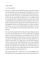 SKKN một số biện pháp rèn kỹ năng sống cho trẻ 5  6 tuổi 