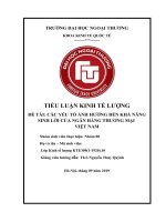 tiểu luận kinh tế lượng các yếu tố ảnh hưởng đến khả năng sinh lời của các ngân hàng thương mại việt nam 