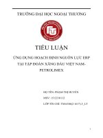 ỨNG DỤNG HOẠCH ĐỊNH NGUỒN lực ERP tại tập đoàn XĂNG dầu VIỆT NAM PETROLIMEX 