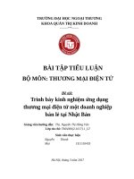 Trình bày kinh nghiệm ứng dụng thương mại điện tử một doanh nghiệp bán lẻ tại nhật bản 