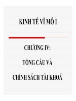 Bài giảng Kinh tế vĩ mô I: Chương 4  ThS. Nguyễn Thị Hồng