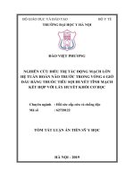 Tóm tắt luận án Tiến sĩ Y học: Nghiên cứu điều trị tắc động mạch lớn hệ tuần hoàn não trước trong vòng 6 giờ đầu bằng thuốc tiêu sợi huyết tĩnh mạch kết hợp với lấy huyết khối cơ học