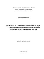 Luận án tiến sĩ: Nghiên cứu tạo chủng virus tái tổ hợp làm vaccine phòng chống cúm A H5N1 bằng kỹ thuật di truyền ngược