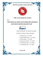 tiểu luận kinh tế lượng PHÂN TÍCH các NHÂN tố tác ĐỘNG đến lợi NHUẬN NGÂN HÀNG THƯƠNG mại VIỆT NAM 