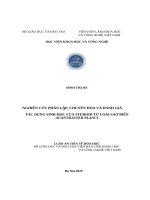 Nghiên cứu phân lập, chuyển hóa và đánh giá tác dụng sinh học của steroid từ loài sao biển acanthaster planci 