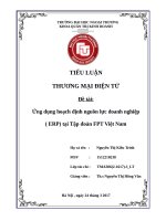 Ứng dụng hoạch định nguồn lực doanh nghiệp ( ERP) tại tập đoàn FPT việt nam 
