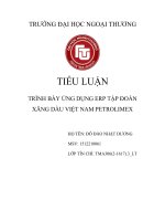 TRÌNH bày ỨNG DỤNG ERP tập đoàn XĂNG dầu VIỆT NAM PETROLIMEX 