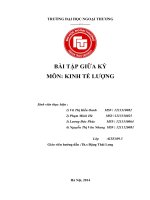 Những vấn đề kinh tế mà mô hình này thể hiện hay cơ sở kinh tế của mô hình  