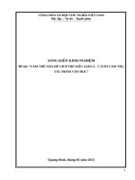 SKKN làm thế nào để giúp cho trẻ mẫu giáo 4 – 5 tuổi cảm thụ tác phẩm văn học 1 