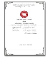 tiểu luận kinh tế lượng các nhân tố ảnh hưởng đến nhu cầu đi lại bằng xe bus của người dân 