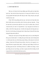 SKKN một số giải pháp dạy học tích hợp trong bộ môn địa lý ở trường THCS 