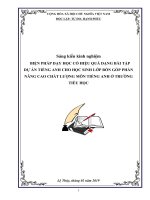 SKKN biện pháp dạy học có hiệu quả dạng BT dự án TS cho HS lớp 4 góp phần nâng cao chất lượng môn TA ở tiểu học 