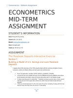 ECONOMETRICS MID TERM ASSIGNMENT 