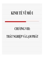 Bài giảng Kinh tế vĩ mô I: Chương 8  ThS. Nguyễn Thị Hồng