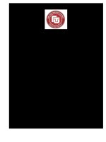 tiểu luận kinh tế lượng NGHIÊN cứu sự ẢNH HƯỞNG của CPI, TIỀN LƯƠNG và tỉ lệ THẤT NGHIỆP tới tỉ lệ lạm PHÁT 