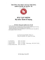 tiểu luận kinh tế lượng chính sách khuyến khích hình thành các tập đoàn kinh tế tư nhân 