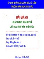 slide bài giảng tìm hiểu 1 số loaị rau củ quả 