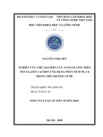 Nghiên cứu chế tạo điện cực nano platin trên nền glassy cacbon ứng dụng phân tích pb, cd trong môi trường nước tt 