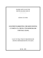 Giải Pháp Marketing Cho Khách Hàng Cá Nhân Của Trung Tâm Kinh Doanh Vnpt Bắc Giang