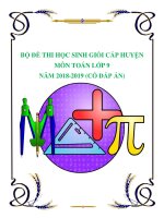 Bộ đề thi học sinh giỏi cấp huyện môn Toán lớp 9 năm 2018 2019 có đáp án