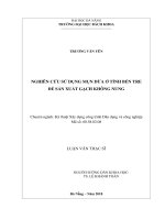 Nghiên cứu sử dụng mụn dừa ở tỉnh bến tre để sản xuất gạch không nung 