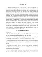 SKKN một số kinh nghiệm trong việc chế biến món ăn cho trẻ trong bữa tiệc buffet tại trường mầm non 