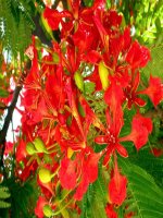 slide bài giảng ôn tập về phép nhân và phép chia 