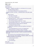 Eleven nhật bản – bài học và ứng dụng thƣơng mại điện tử vào kinh doanh bán lẻ 