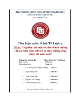 tiểu luận kinh tế lượng nghiên cứu một số yếu tố ảnh hưởng tới xác suất trên 100 trẻ sơ sinh không sống được tới năm tuổi 