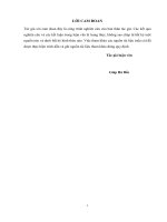 Một Số Giải Pháp Nâng Cao Hiệu Quả Quản Lý Nhà Nước Các Dự Án Đầu Tư Xây Dựng