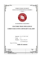 tiểu luận kinh tế lượng FACTORS THAT INFLUENCE CHIEF EXECUTIVE OFFICER SALARY 