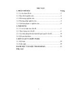 SKKN một số biện pháp nâng cao chất lượng bán trú ở trường mầm non hoa mai 